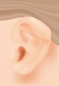 耳や 耳たぶ 耳垂 の形でお悩みの方 福岡ブリスクリニック